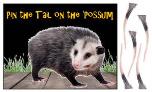 Pin the Tail on the Possum Game